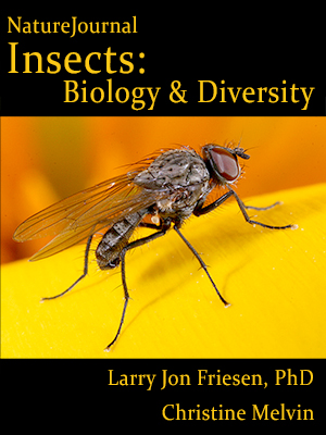 Unl Insects Science NatureJournal Textbooks